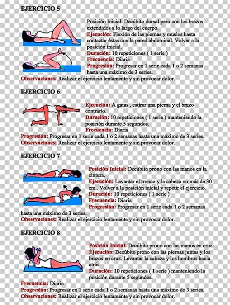 Coccyx Human Back Exercise Joint Dislocation Spondylolysis PNG, Clipart ...