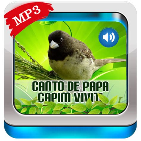 Canto De Papa Capim Viviti Apps On Google Play