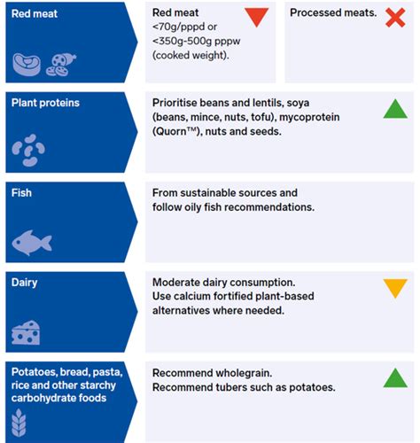 Sustainable Diets British Dietetic Association Bda