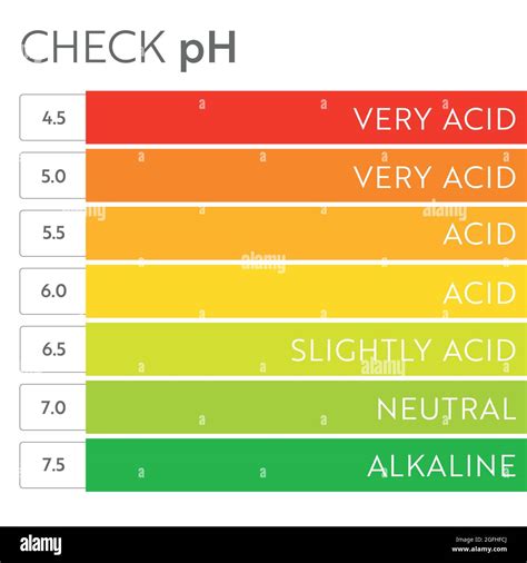 Graphique de l échelle de pH Infographie sur l équilibre acido basique