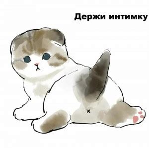 стикеры котики - Создать мем - Meme-arsenal.com