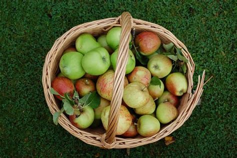 Four Harvest Recipes for Celebrating Mabon - Delishably