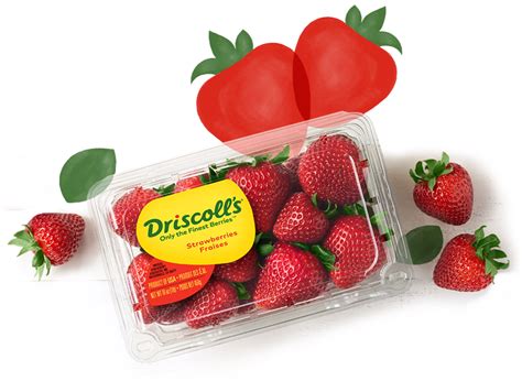 How To Store Care For Berries Driscolls