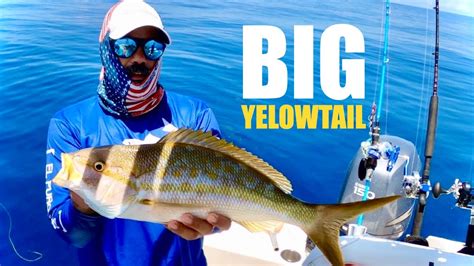 Giant Yellowtail Snapper Fishing PB Snapper Trip YouTube