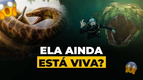 Titanoboa A Maior Serpente que Já Existiu na Terra YouTube