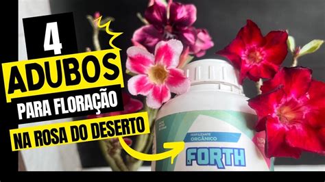 Os Melhores Adubos Para Fazer Rosa Do Deserto Florir Youtube