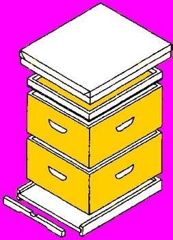 10 Free Bee Hive Plans To Build for Your Bees