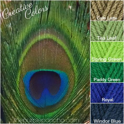 Creative Colors Peacock Palette The Purple Poncho