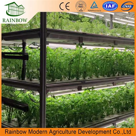 Soilless Cultivation Equipment Plant Factory Hydroponic Melons Multi