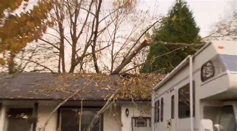 Gusting Winds Leave Thousands Without Power Across Lower Mainland Cbc