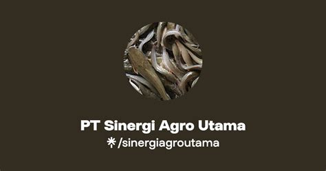 Pt Sinergi Agro Utama Instagram Facebook Linktree