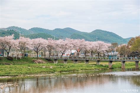 사평천 전라남도 화순군 가볼만한곳