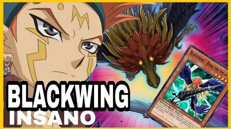 Yu Gi Oh Duel Links Blackwing Vs Harpia Duelo Destridor Youtube