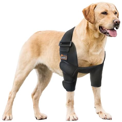 I Tested And Ranked The Best Hygroma Dog Elbow Pads In 2024: And Here's ...