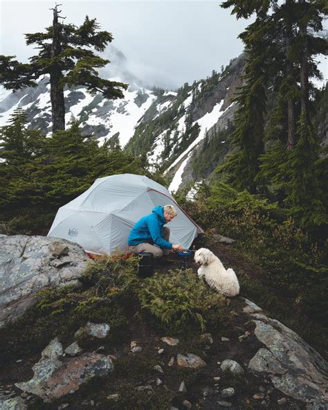 Chad Torkelsen On Twitter Into The Washington Wild