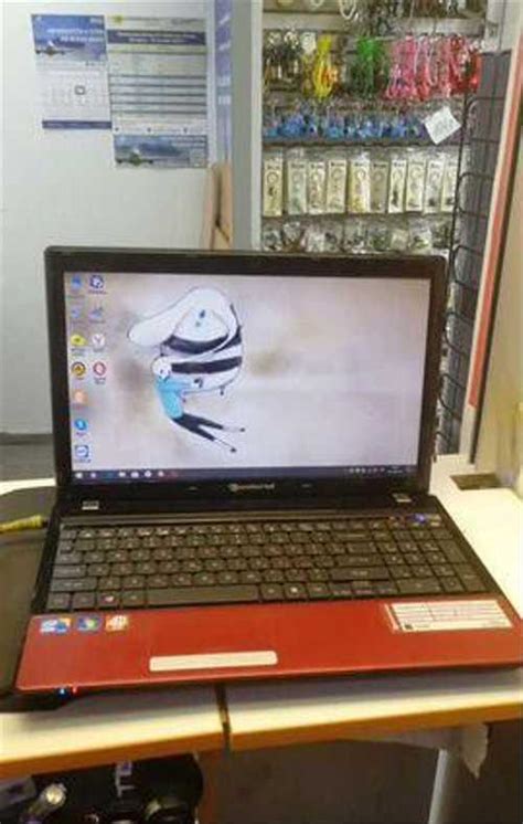 Ноутбук packard Bell NEW90 | Festima.Ru - Мониторинг объявлений