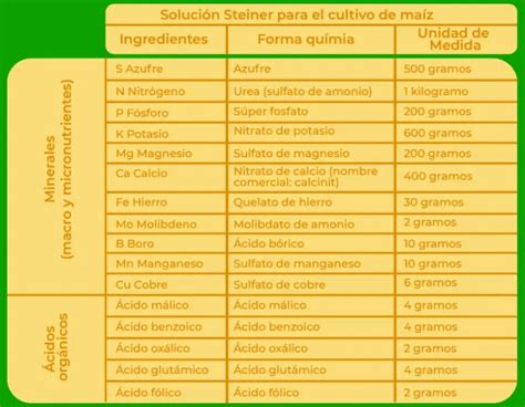 ¿qué Es La Solución Steiner Pdf Infoagronomo