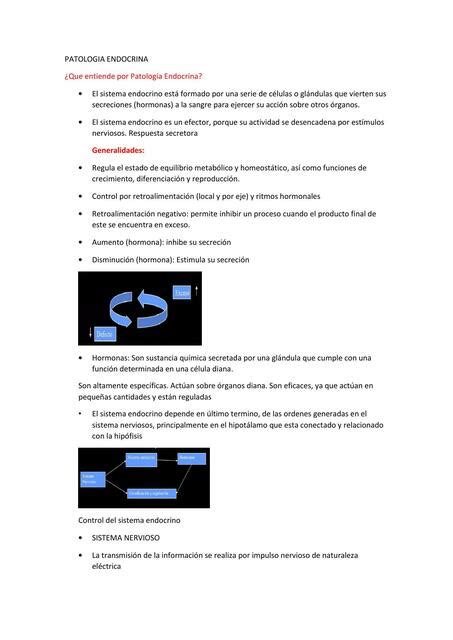 Patolog A Endocrina Metotrexato Post Udocz