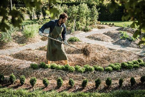 Permacultura Origine E Principi Di Questa Tipologia Di Agricoltura