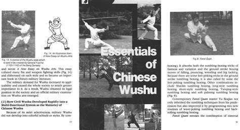 Essentials Of Chinese Wushu Jiayo Wushu