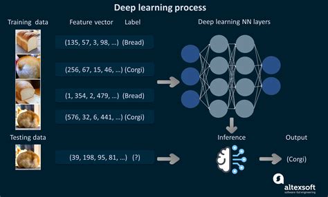 Data Science Ai Ml Deep Learning And Data Mining Altexsoft