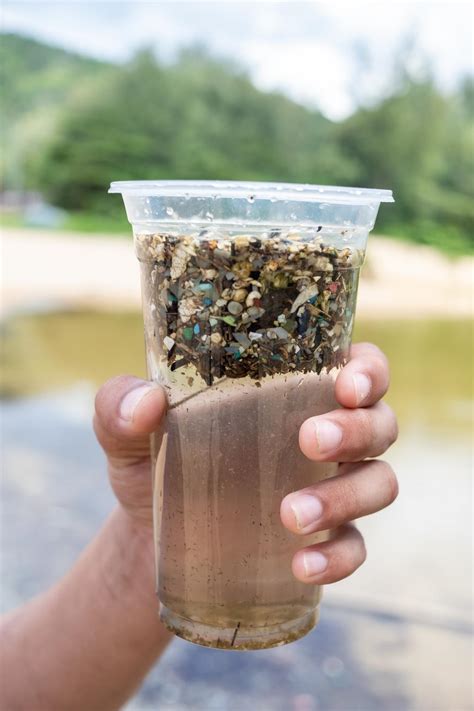 Do You Know How To Avoid Microplastics In Food The Eco Hub