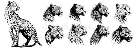 Cheetah Heads Black And White Vector Silhouette Svg Shapes Of Cheetah