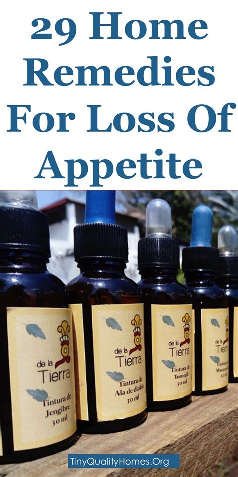 29 Effective Home Remedies For Loss Of Appetite