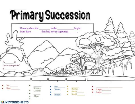 Primary Succession Worksheet Live Worksheets Worksheets Library