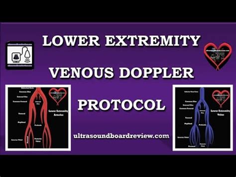 Lower Extremity Venous Duplex Protocol Youtube