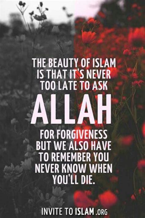 60 Beautiful Allah Quotes And Sayings With Images 2025