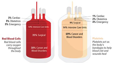 Where Do Blood and Platelet Donations Go? - Brigham Bulletin