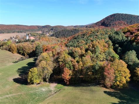 Klosterwald In Heiligenkreuz Nuovo Alternative Bestattung