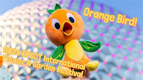 All the Orange Bird Offerings at the 2024 EPCOT International Flower