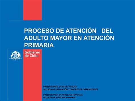 Proceso De Atencion Del Adulto Mayor En Aps Ppt