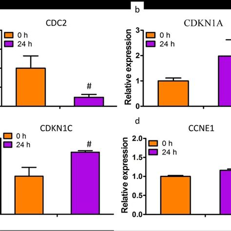 Figure4 The Mrna Levels Of Genes Were Also Validated By Real Time Pcr