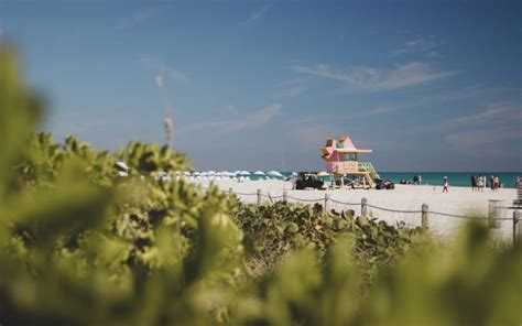 Top Reasons People Love Living In Miami Beach