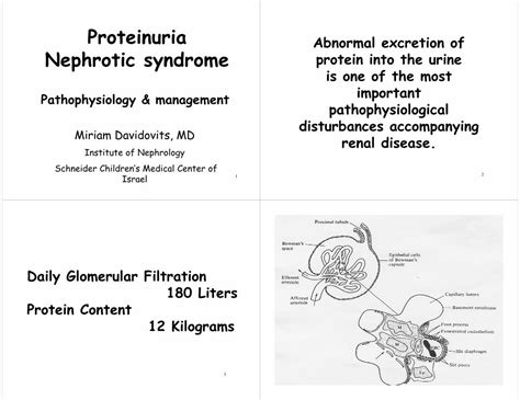 Pdf Proteinuria Nephrotic Syndrome Tauacil · Proteinuria