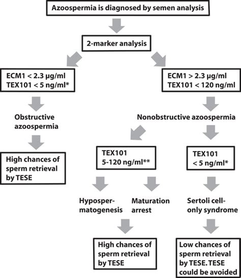 Differential Diagnosis Of Azoospermia With Proteomic Biomarkers Ecm1