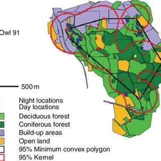 (PDF) Spatial distribution patterns