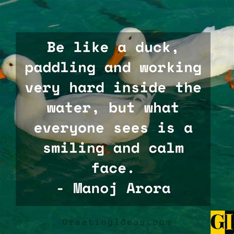 30 Inspiring Duck Quotes to Stay Calm Amidst the Storm