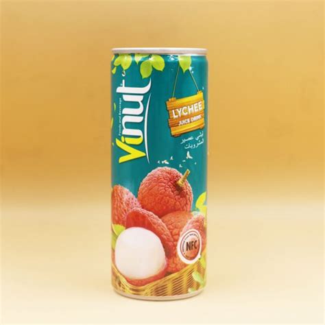 VINUT S Lychee Paradise 250ml Juice Drink An Indian Summer Retreat