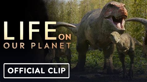 Our Planet Netflix Official Site