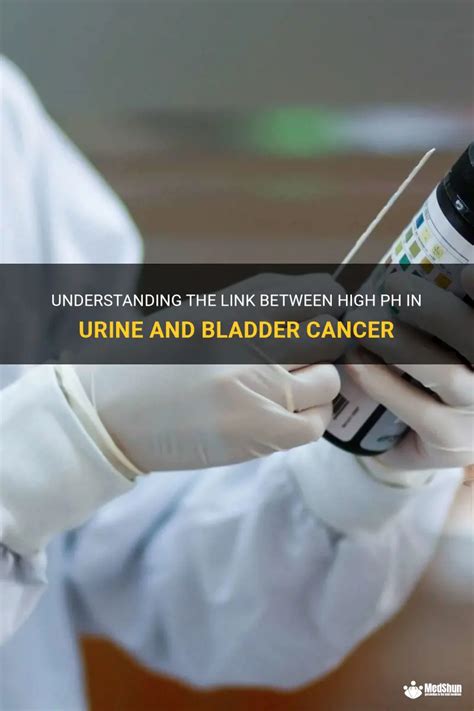 Understanding The Link Between High Ph In Urine And Bladder Cancer Medshun