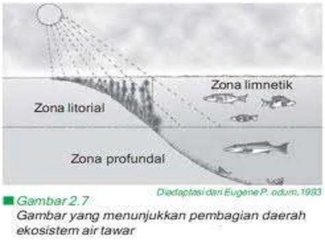 Pengertian Dan Pembagian Ekosistem Air Tawar Lengkap Dengan Contoh ...