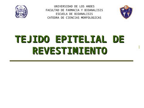 Ppt Tejido Epitelial De Revestimiento Dokumen Tips