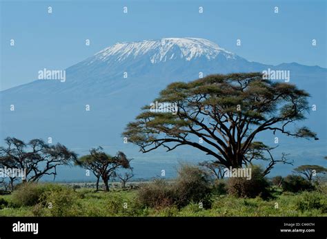 Afrique De L Est Le Kenya La Tanzanie Le Kilimandjaro Amboseli Le