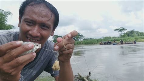 Lumayan Mancing Bentar Aja Hasilnya Dapat Ikan Tawes Bader