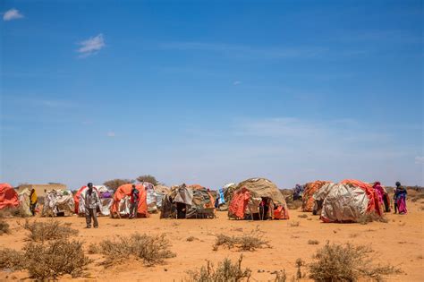 OUR WORK | Care Kenya