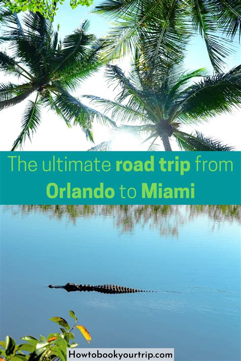 The Ultimate Road Trip from Orlando to Miami